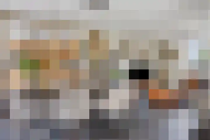 Wolfsven 7 Eindhoven thumbnail 5