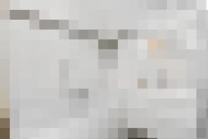 Wolfsven 7 Eindhoven thumbnail 51