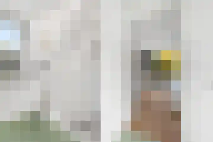 Wolfsven 7 Eindhoven thumbnail 55