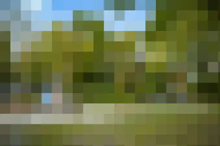 Wolfsven 7 Eindhoven thumbnail 64