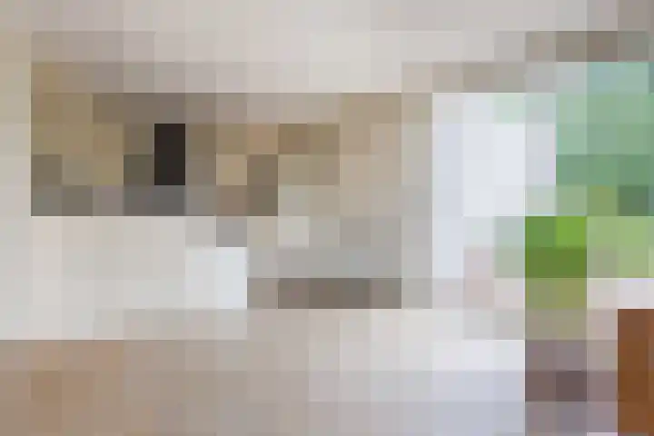 Wolfswinkel 22 Budel thumbnail 13