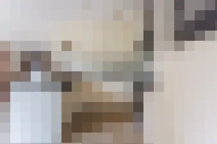 Wolfswinkel 22 Budel thumbnail 14