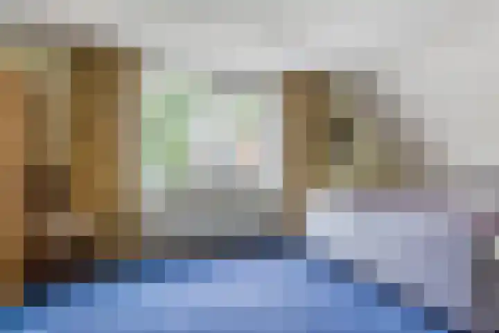 Wolfswinkel 22 Budel thumbnail 19