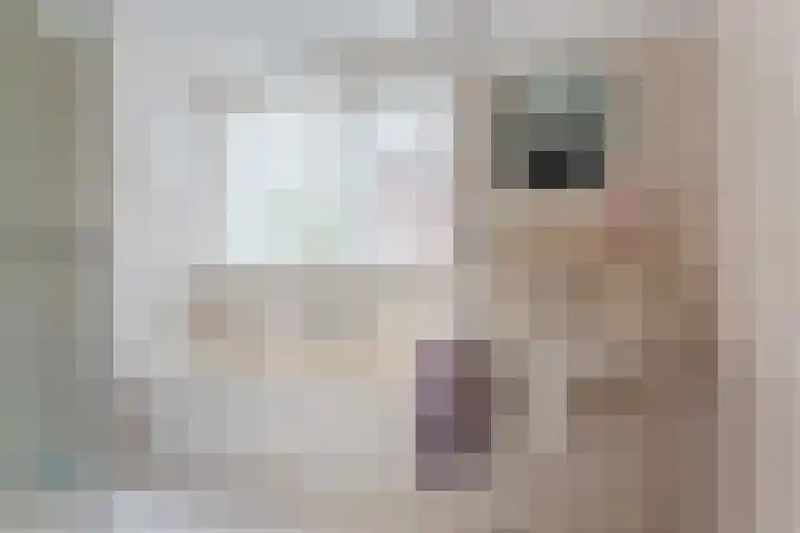 Wolfswinkel 22 Budel thumbnail 25