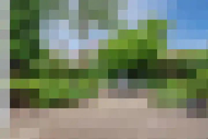 Wolfswinkel 22 Budel thumbnail 32