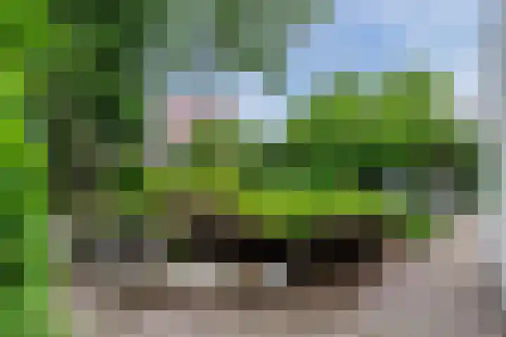 Wolfswinkel 22 Budel thumbnail 34