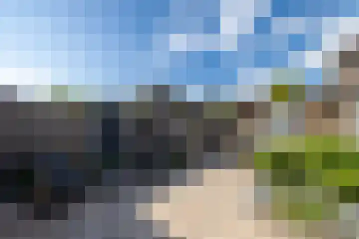 Wolga 2 Doetinchem thumbnail 18