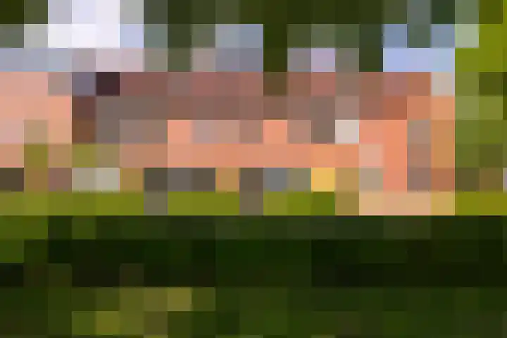 Wolga 2 Doetinchem thumbnail 25