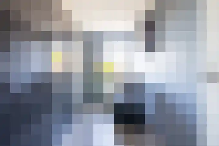 Wolga 2 Doetinchem thumbnail 31