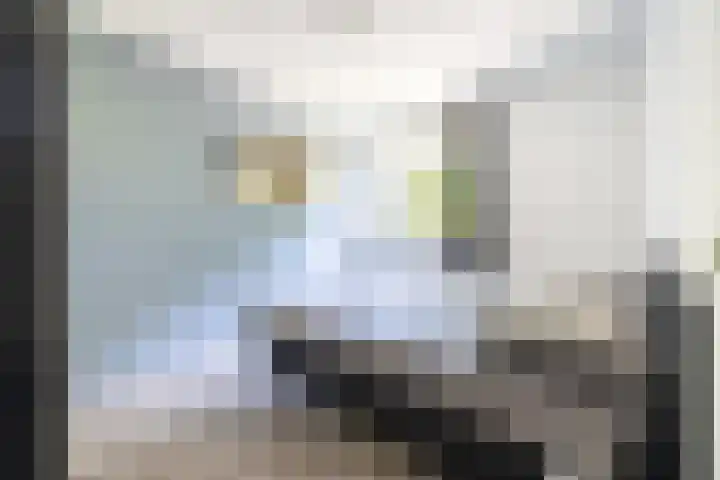 Wolga 2 Doetinchem thumbnail 33