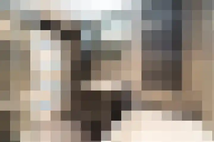 Wolga 2 Doetinchem thumbnail 37