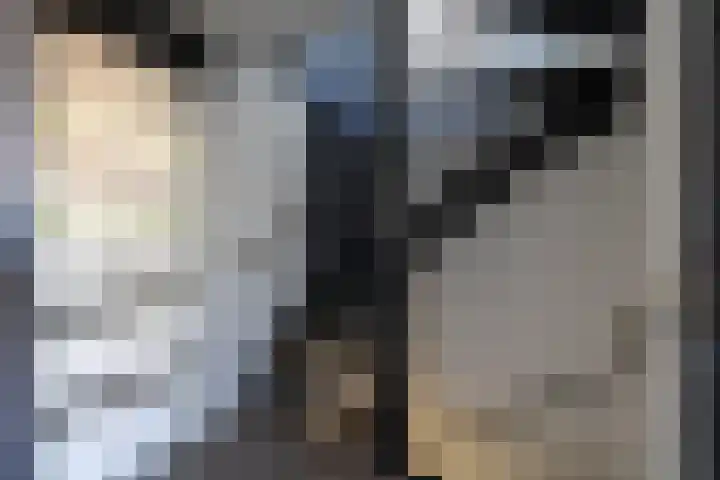 Wolga 2 Doetinchem thumbnail 39