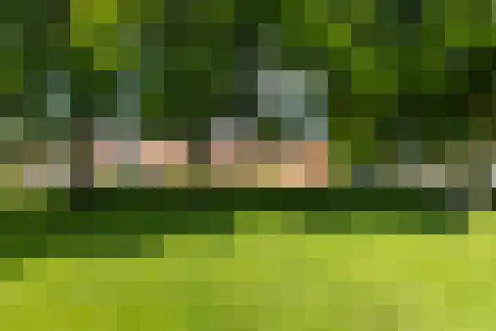 Wolga 2 Doetinchem thumbnail 48