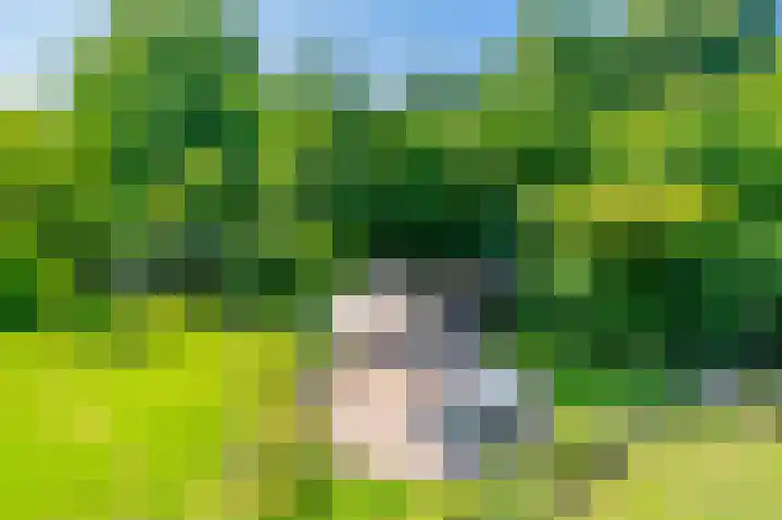 Wolkenveld 1 Almere thumbnail 48