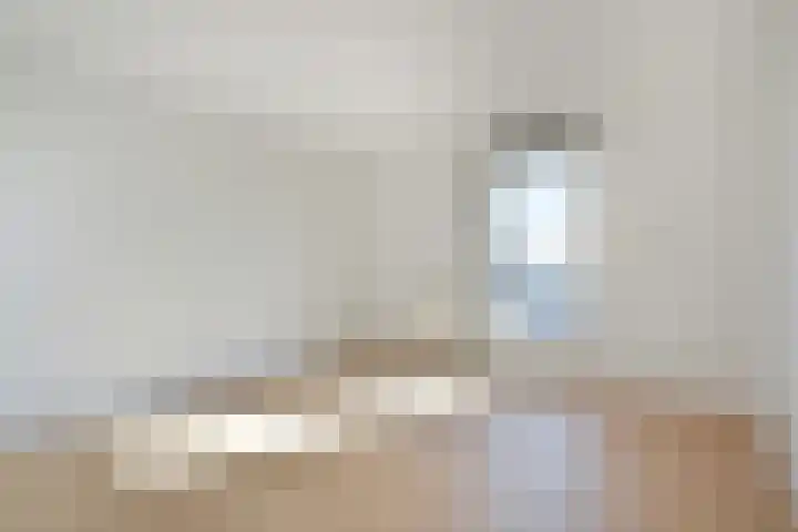 Wollebrand 19 Pijnacker thumbnail 12