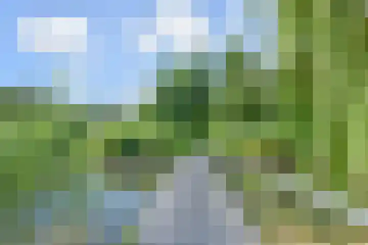 Wollebrand 19 Pijnacker thumbnail 26
