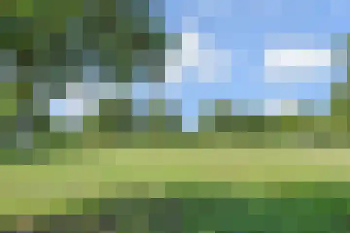 Wollebrand 19 Pijnacker thumbnail 27