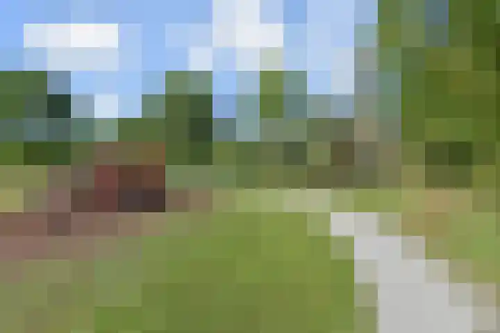 Wollebrand 19 Pijnacker thumbnail 28