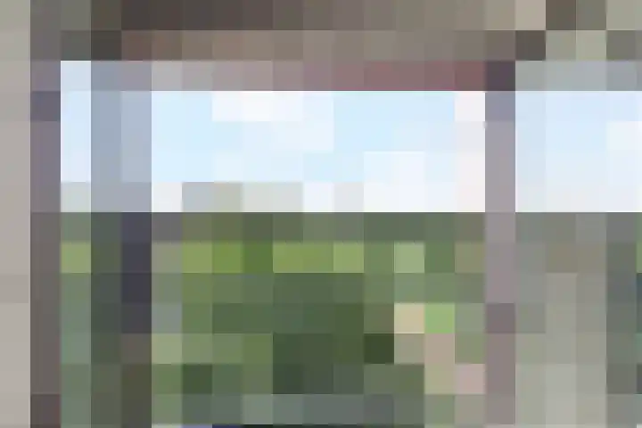 Wollebrand 19 Pijnacker thumbnail 4