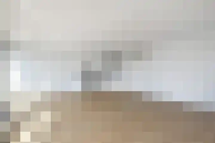 Wollebrand 19 Pijnacker thumbnail 8