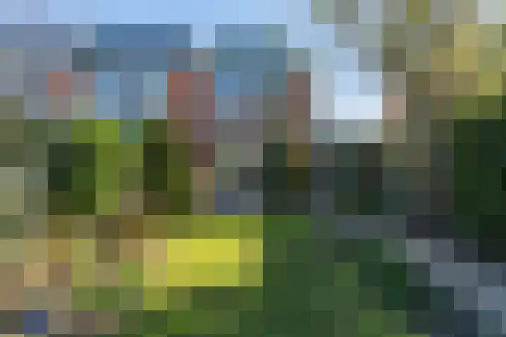 Wollebrand 26 Pijnacker thumbnail 13
