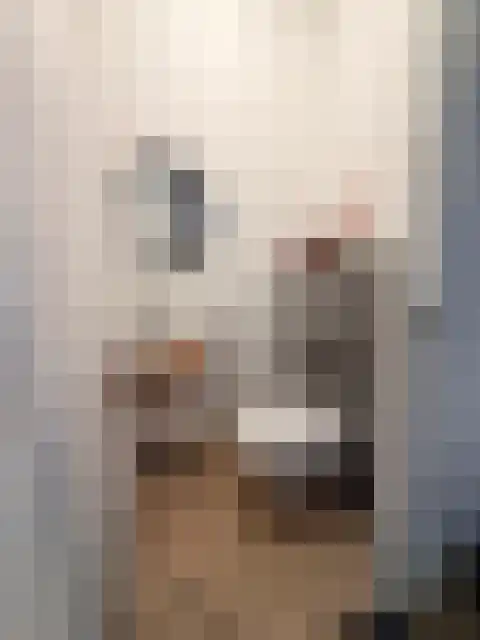 Wollebrand 26 Pijnacker thumbnail 32