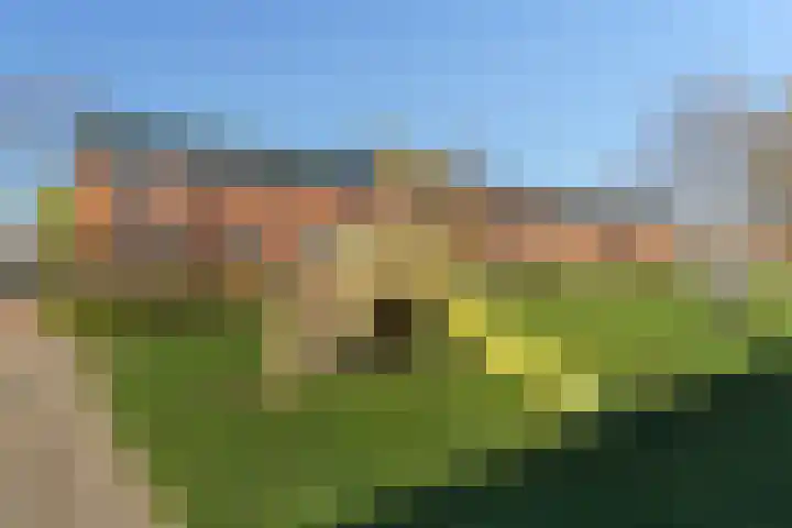 Wollebrand 26 Pijnacker thumbnail 33