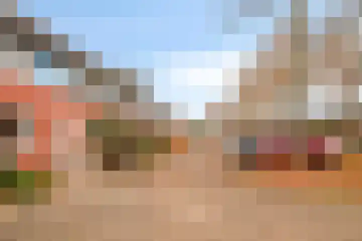 Wollebrand 26 Pijnacker thumbnail 8