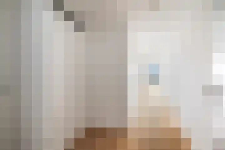 Wollebrand 9 Pijnacker thumbnail 13
