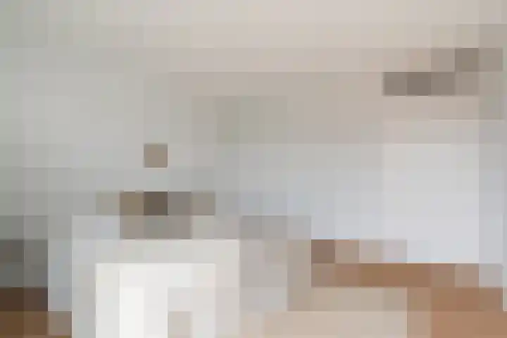 Wollebrand 9 Pijnacker thumbnail 14