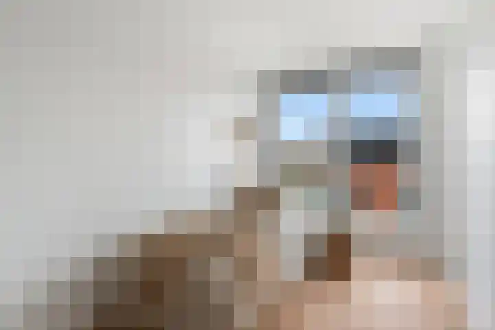 Wollebrand 9 Pijnacker thumbnail 15