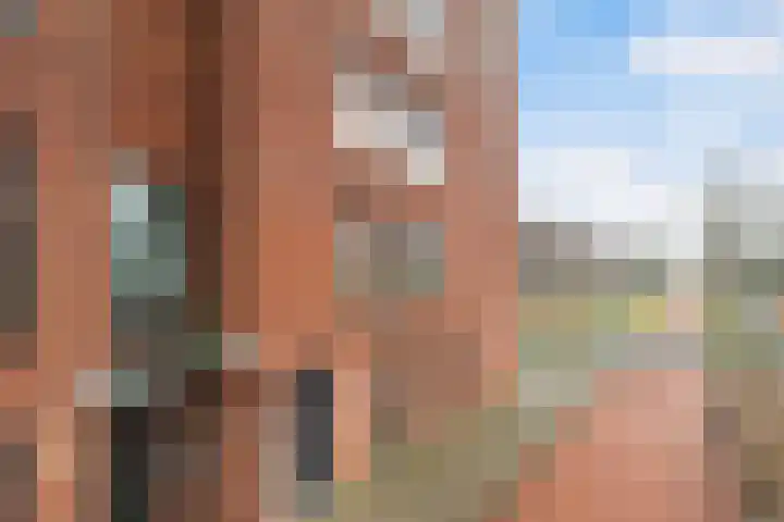 Wollebrand 9 Pijnacker thumbnail 27