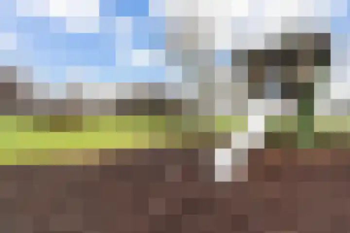Wollebrand 9 Pijnacker thumbnail 29