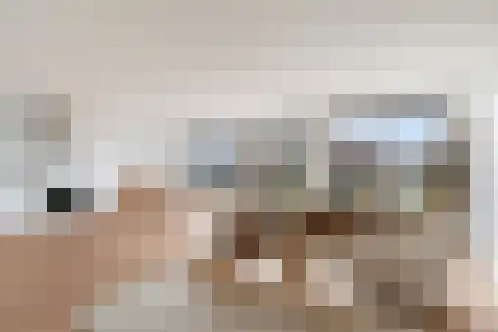 Wollebrand 9 Pijnacker thumbnail 5