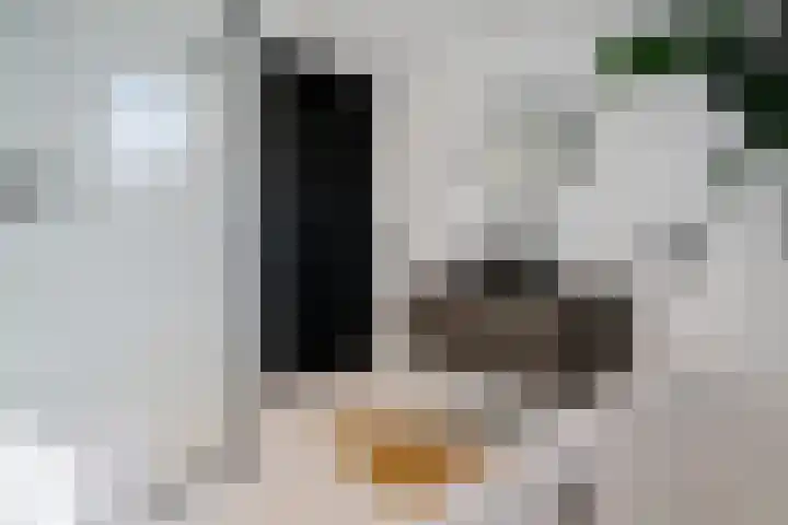 Wollebrand 9 Pijnacker thumbnail 7