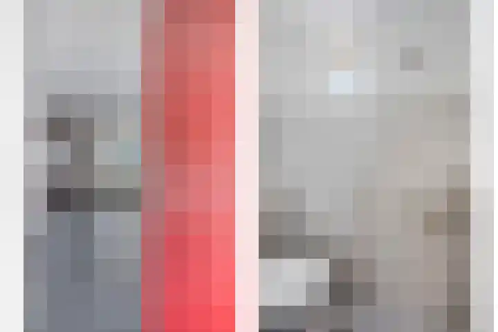 Wollegras 1 Deurne thumbnail 10