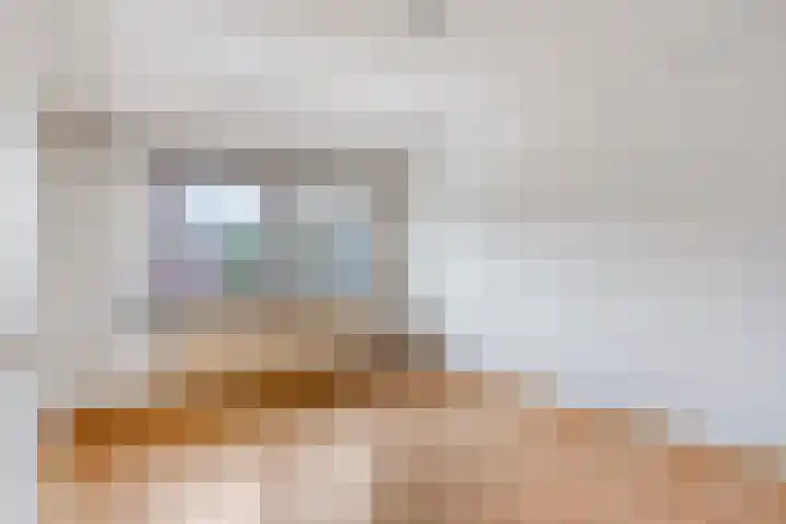 Wollegras 1 Deurne thumbnail 13