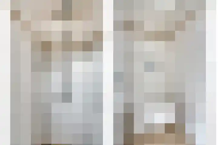 Wollegras 1 Deurne thumbnail 17