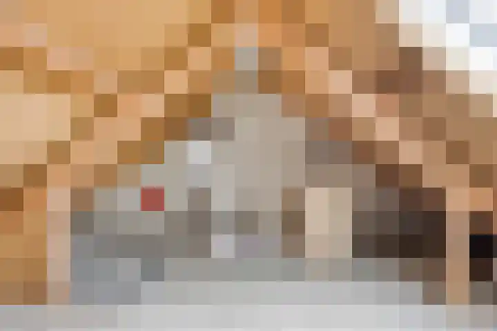 Wollegras 1 Deurne thumbnail 18