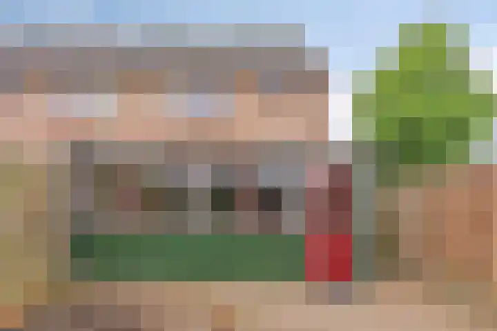 Wollegras 1 Deurne thumbnail 19