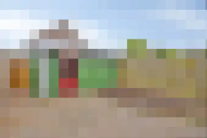 Wollegras 1 Deurne thumbnail 20