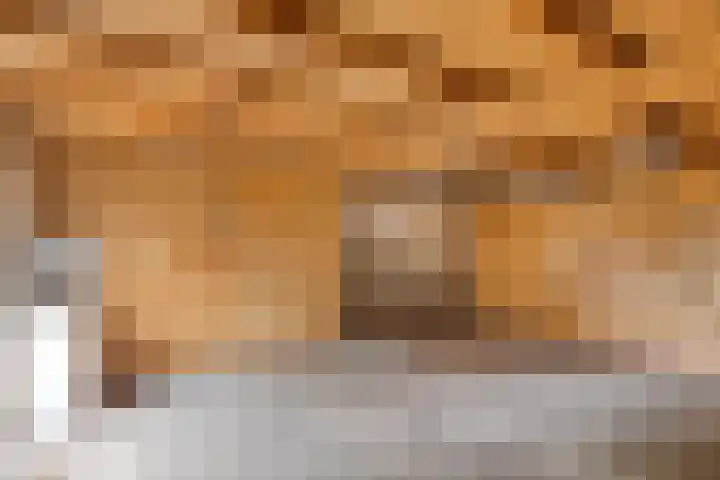 Wollegras 1 Deurne thumbnail 21