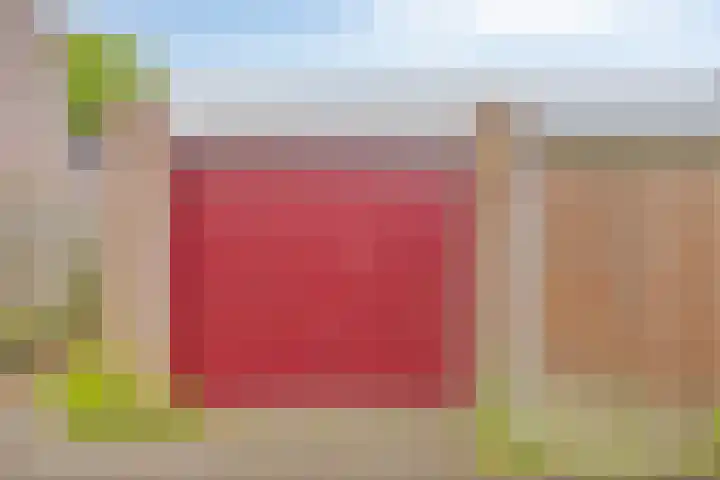 Wollegras 1 Deurne thumbnail 22