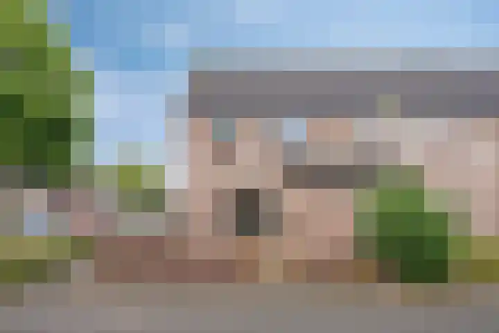 Wollegras 1 Deurne thumbnail 23