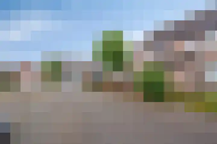 Wollegras 1 Deurne thumbnail 24
