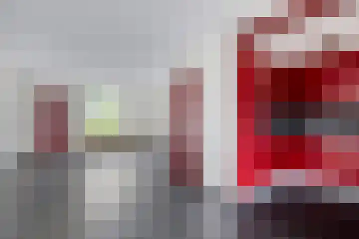 Wollegras 1 Deurne thumbnail 5
