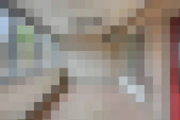 Wollegras 1 Deurne thumbnail 8