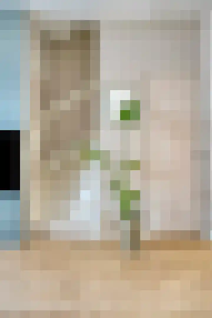 Wollegras 1 Deurne thumbnail 9