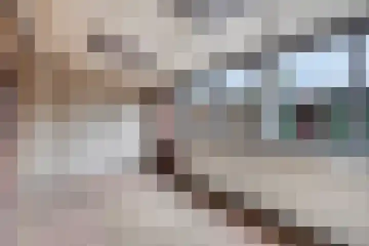 Wollegras 1 Deurne thumbnail 9