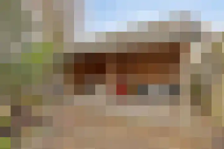 Wollegrasstraat 55 Wormer thumbnail 31